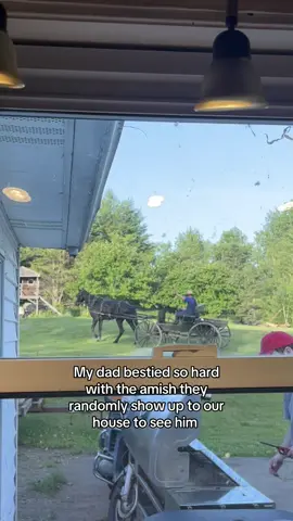 asking him to haul wood for them ofc ofc #amish #amishgonewild #horse #besties #amishfamily #amishtiktok #amishcountry #funny #random #fyp #viral #foryou 