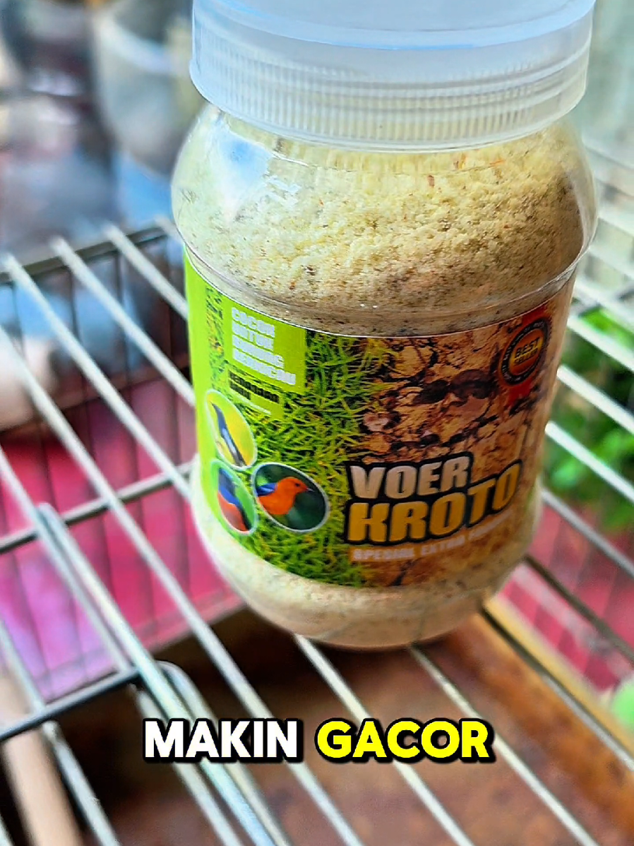 voer kroto extra fooding, extrafooding pengganti kroto #voerkroto #voerburung #voerproteintinggi 