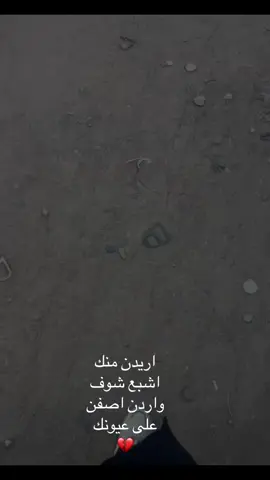 #مقبرة_وادي_السلام_النجف💔🥺 #علي_بن_ابي_طالب_عليه_السلام❤️   
