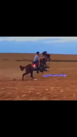 #فرسان_برقه🖤🔥✊🏻 #مونتاج #انس_الخايبي #مشاءالله_تبارك_الله_اذكروالله @اشطيطا بوقرين 