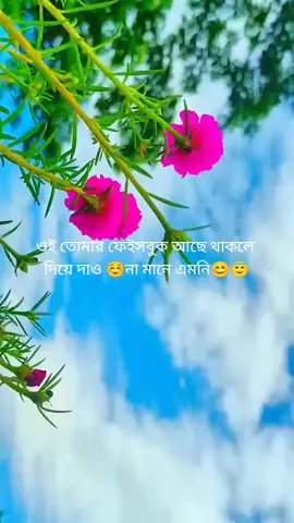 #জাতির ছোটো ভাই#foryou #tiktok #2025