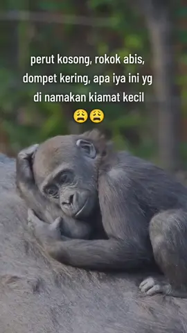 😩😩 #fypシ゚ #fypviralシ #fypage #kata2lucu 