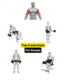 Top 4 exercises for biceps💪 #biceps #bicepsday #workoutmotivation #Fitness #GymTok  #creatorsearchinsights 