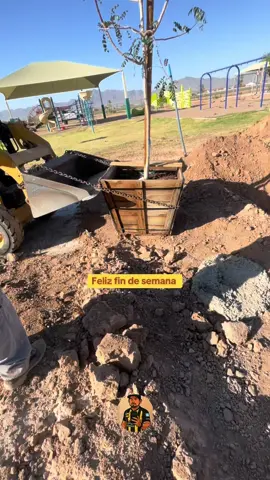 Más viral de hoy, fin de semana 