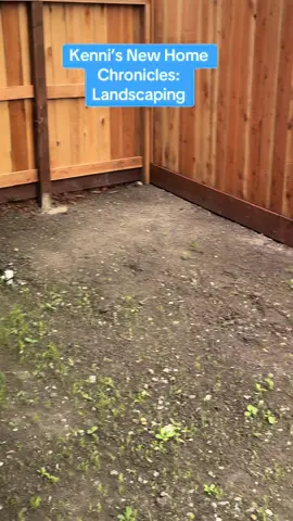 Progress baby progresssss #newhomeowner #newhome #landscaping #backyardvibes 