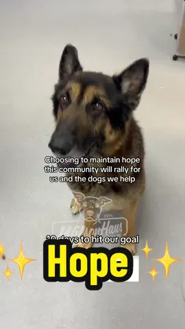 With love, a rescuer with a vision, hope and community 🧡🐾