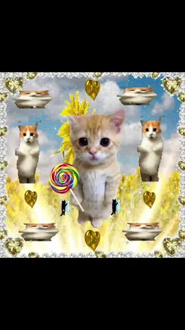 sunshine lollipops and rainbows 🐈🎶✨ #catcore #talkingpetsai #sillycats #brainrotcore #cattok #brainrot #sillycat #catsoftiktok #usa #catlover #catslovers #corecoretiktok 