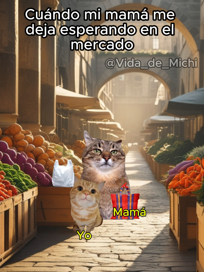 Me siento abandonado😿 - - - #gatitoslindos #gatosgraciosos #gatosdivertidos #funnyvideos #catlover #michi #gatos #momentosdivertidos #storytime #story #memecat #memestiktok #michis #gracioso #divertido #mercado #mamá #Humor #memes 