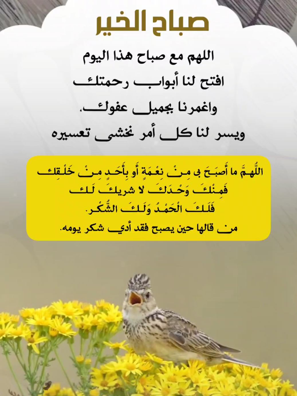 دعاء_الصباح #اصبحنا_واصبح_الملك_لله#صباحكم_سعادهـ #صباح_الخير #صباحكم_سعادهـ #اصبحنا_واصبح_الملك_لله_والحمد_لله##اكسبلور#دعاء#يوم_جديد #صباحكم_معطر_بذكر_الله #استغفرالله #اذكار# #الصباح #اذكار_المسلم #سبحان_الله_وبحمده_سبحان_الله_العظيم #foryou #fyp #foryoupage #تصاميم_ghym3377 #اكتب_شي_توجر_عليه 