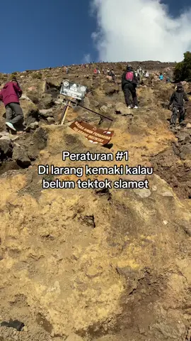 #fyp #pendakigunung #mountain #slamet #pendakifomo 