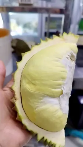 #บุฟเฟ่ต์ชาบูบวกทุเรียน 599 บาททานได้ 2 ชม #ชาบูเด้อโลตัสพลัสมอบางใหญ่ #เมนูทานเล่นเยอะแยะมากมาย #บุฟเฟ่ต์ทุเรียน #มากินเหอะ #กินชาบูแล้วไม่เลี่ยนมีที่ไหน #ชาบูเด้อ #อิ่มอร่อยไม่จำกัดเวลา #อากาศครื้มๆซดน้ำร้อน 