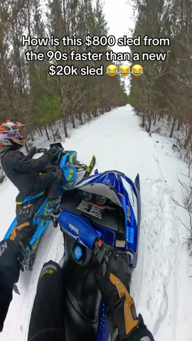 1999 Yamaha srx700 vs 2019 Polaris Indy 800 xc #yamaha #srx700 #polaris #indy800 #xc #snowmobile #race 