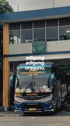 Sumber selamat#tiktok #fyp #fyppppppppppppppppppppppp #fypage #terbaru #terbaru2024 #bis #bus #busjawatimuran #pelarikonten #sumbergroup #sumberselamat #sugengrahayu #jogja 