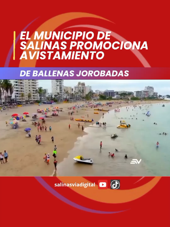 EL MUNICIPIO DE SALINAS PROMOCIONA AVISTAMIENTO DE BALLENAS JOROBADAS #salinas #salinasviadigital 