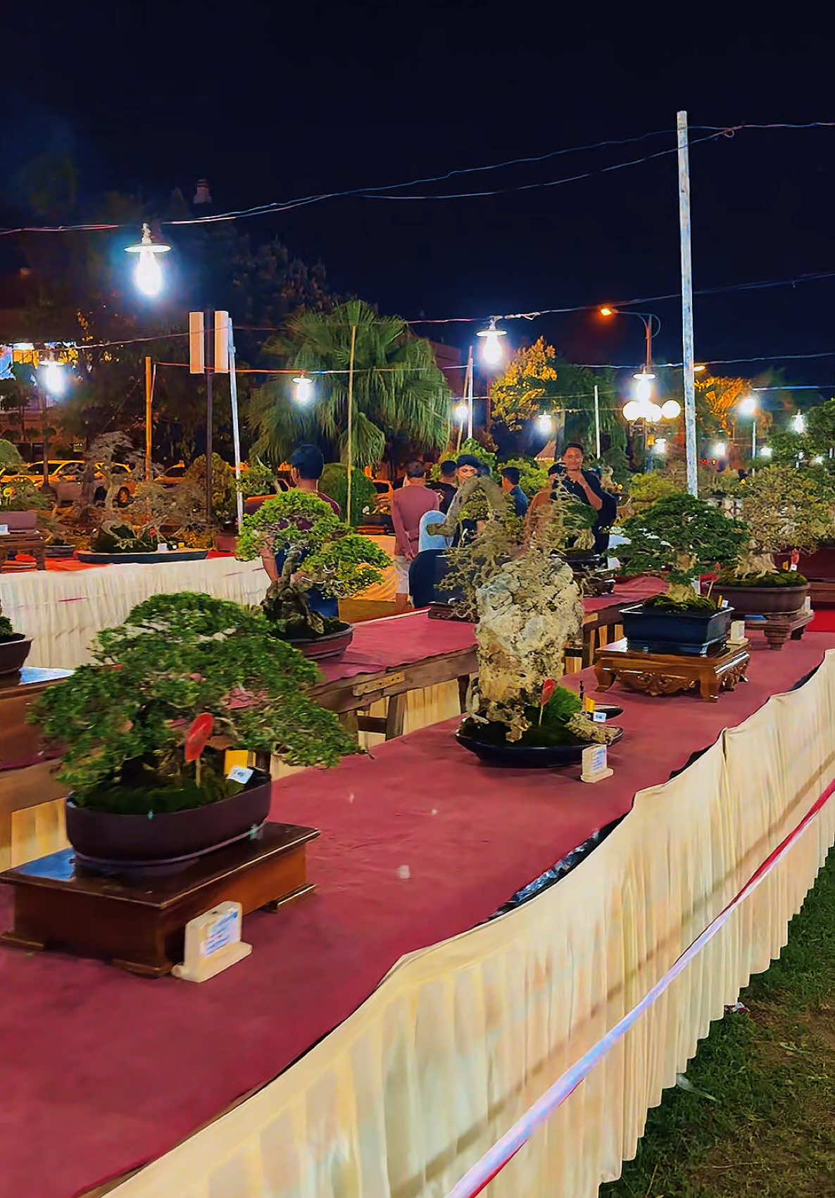 Grebeg bonsai bumi reog Ponorogo 2025 #Ppbiponorogo #grebegbonsaibumireog2025 #bonsai #grebegsuro2025 #bonsaiponorogo #ppbimadiun #ppbi 