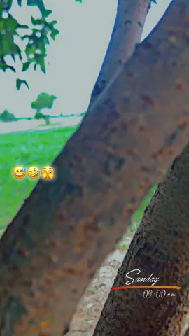 😅🤣🫣#viral_video #کرووائرل #foryoupage❤️❤️ #😅 #fyp ###viral_video #کرووائرل #😅 @بھٹی برینڈ سانگلے آلہ 🫵🦅 