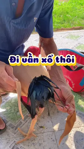 Giỏ xách gà chọi#haophanrang #xuhuong #gachoivietnam #gachoiviet 