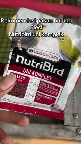 Nutribird uni komplek #pleci #plecimaniaindonesia #plecimania #hobiburung #kicau #kicaumania #kicaumaniaindonesia #makmurps 
