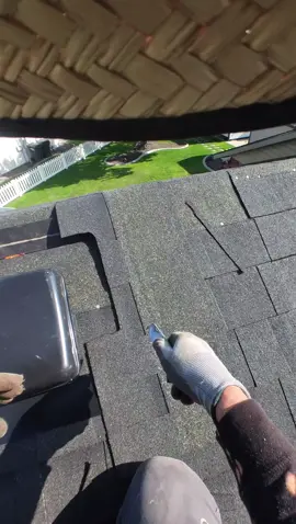 Air vent roof