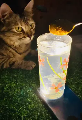 #viralvideo 