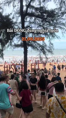 Đông không có chỗ để xe luôn 😭 #baidongnghison #nghison #baidong #baibien #dulichbienmuahe #samson 