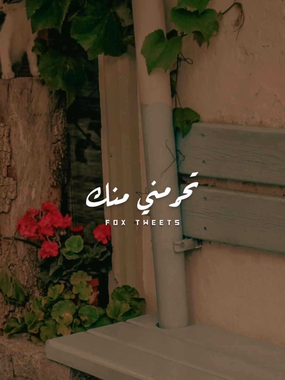 لقيتك فين 🤎 ~ #CapCut #fpyシ #fpy #explore #foryou #شيماء_الشايب #لقيتك_فين 