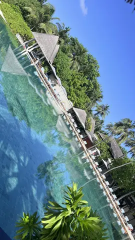 Four seasons Maldives 🇲🇻 #uaa #lebanon🇱🇧 #dubai 