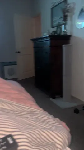 Summer, Day 12 😾 #notreal #weirdpets #grumpcat #cattok #funnyvideos #cats #catsoftiktok #PetsOfTikTok #fypage #fy #fypシ #fyp 
