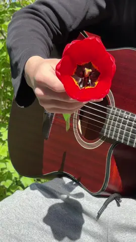 Spanish Flamenco Melody on Guitar #flamenco #guitar #guitartok #картель #мексиканскийкотик #pattern #guitarcover #гитара #guitarplayer 