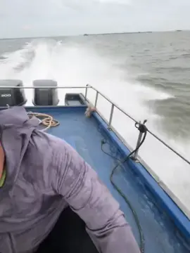 ký sự vùng biên 