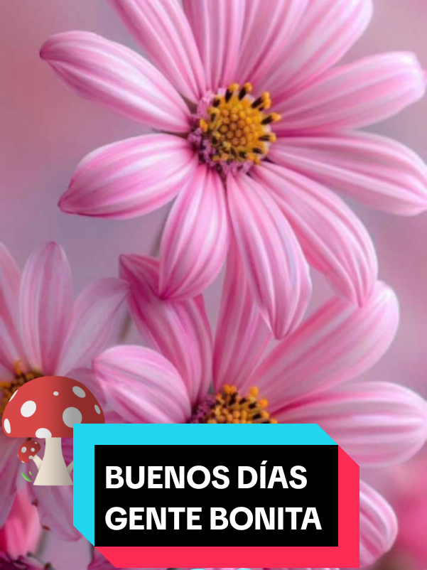 ¡Buenos días, personas increíbles! 😊💖   Ojalá hoy la vida les sorprenda con cosas hermosas, como ustedes lo hacen con los que les rodean. Son únicos y el mundo brilla más fuerte con ustedes en él. ¡Que tengan un día maravilloso! ✨ #buenos #dias #mundo #maravilloso #cancionestendencia  #cancionesdelrecuerdo  #exitos #romanticos #fypシ゚  #palitoortega #yotengofe  #dios 