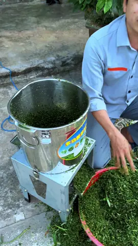 Xay rất là nhanh, nuôi số nhiều cũng được, có máy xay thức ăn như này lo gì. Xay được rau củ cho chăn nuôi không mệt #mayxayraucuqua #maynongnghiep #nongdan #channuoiga #xuhuong 