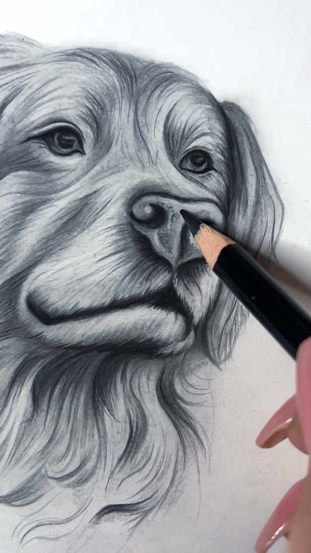 Wen oder was würdest du zeichnen lassen ? ✍🏻 #zeichnen #drawing #art #kunst #zeichnenmitbleistift #auftragszeichnung #drawing #realisticartwork