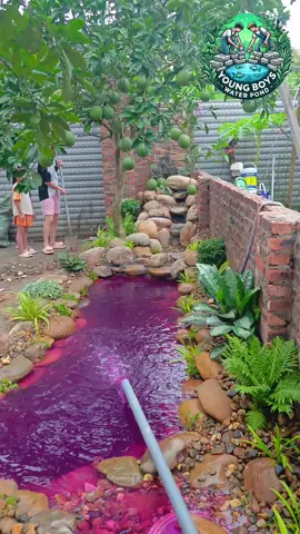 Hoàn thiện bể PPTN 6m2 cho chủ nhà Sóc Sơn. Thi công trọn gói trong 2 ngày thôi a. Cản ơn gia đình đã tin tưởng và ủng hộ 🥰 #Viral #visinh #Koipond #xuhuong #youngboyswaterpond #tieucanhsanvuon #hocaxepda #hocakoi #hocatunhien #pondstock #swimmingpool 