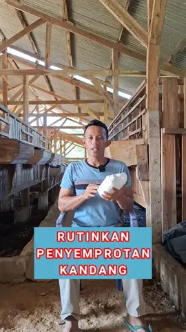 untuk mensterilkan kandang pada ternak jangan sampai menggunakan zat-zat kimia yang dapat mempengaruhi kesehatan yang buruk sekali bagi tubuh ternak lebih baik gunakan saja produk  yang benar-benar berkualitas yang kandungannya bagus dan tidak mengganggu kesehatan pada ternak dengan cukup menggunakan destan plus yang bisa bikin kandang ternak steril dengan cepat dan dengan cara yang mudah selain itu dapat mengusir bakteri, jamur, dan virus yang ada di kandang dan juga masih dapat mengusir bakteri pada minuman dan pakan ternak juga dengan adanya destan plus semua jenis virus,bakteri,dan jamur bisa dibasmi dengan cara yang mudah cukup dengan dirutinkan pemberian destan plus yang caranya dan takarannya sudah ada di dalam kemasannya #destanplus #pembasmibakterikandang #pembasmiviruskandang #pembasmijamur #pembasmivirusdanbakteri #pembasmibakteridanvirus 