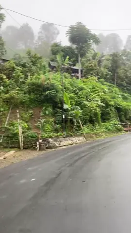 Lewat disini jam berapa pun pasti dingin nya sampai 18 derajat😔😍#mamasa #sulbar #pembatasanmamasa #fvpppppppppp 