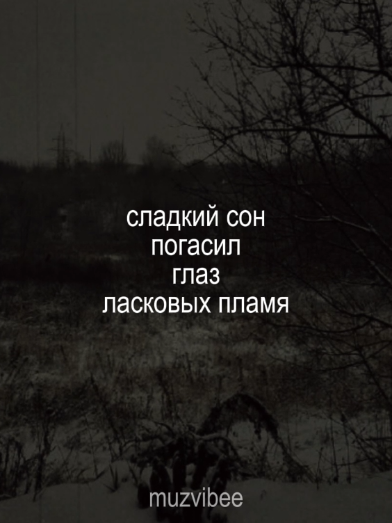 14:21 || сладкий сон погасил.. [полная версия трека в моём тгк– muzvibee20] #михаилбоярский #спасибородная #aesthetic #muzvibee #fyp #slowedsongs #lyric 