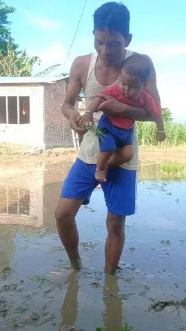 khet ropai 2082-03-06