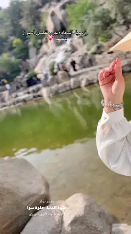 #اكسبلور #اكسبلوررر #explore #مشاهير_تيك_توك #مشهد #ايران #سفر #fyppppppppppppppppppppppp 