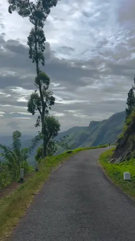 #බදුල්ල #පිටමාරුව #visitsrilanka #_tik_tok🇱🇰🇱🇰 #1millionaudition #viralvideo #highlight #environment #nature #srilanka #foryoupage #roadtrip #tranding #