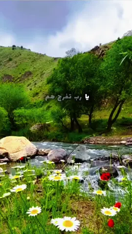 يارب... تفرج هم من كان مهموم #يارب #الله #اللهم #الهم #الفرج #شعر #اشعاروقصايد #شعر_شعبي #تجارب#الحياة #الرزق 