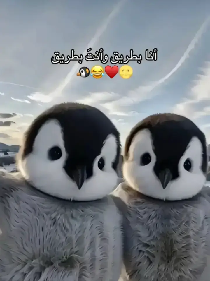 #الحب❤️ @𓆰ᯓ𝐌𝐇𝐌𝐎𝐔𝐃⏎𖤍 
