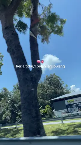 seeeyou#fyp#zxycba#foryou 