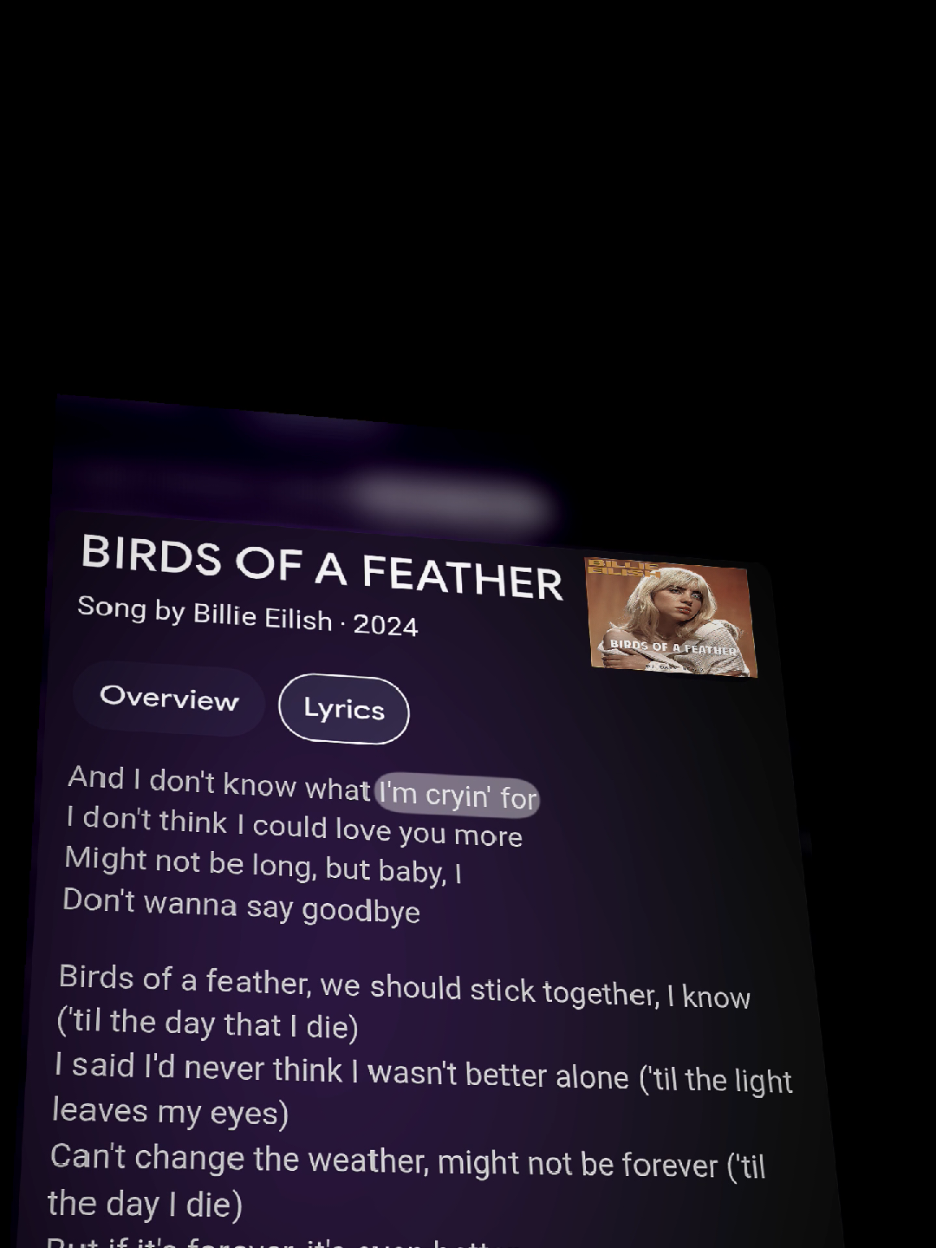 Birds of a feather ❤️‍🩹🎶 #lyrics #lyricsvideo #lyricsmusic #lyricsedit #lyrics_songs #music #song #birdsofafeather #billieeilish #fypforyoupage #fypforyou #lirickoss 