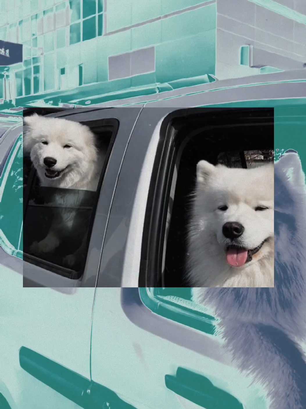 TRend cho mấy anh chạy taxi :))#CapCut 