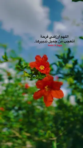 #VNVideoEditor  …آخر اقتباس نسخته #الانبار #الرمادي_شموخ_عزالانبار #الرمادي_الاٴنبار #الانبار_القائم #محافظات_العراق #foryou 
