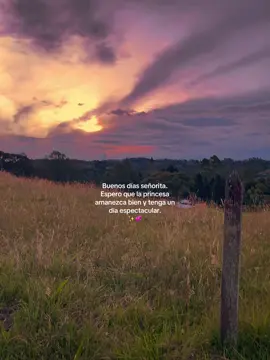 Buenos días, señorita. ❤️‍🔥 #fyp #buenosdias #dedicarvideos♡ #paradedicar #sunset #dedicar #xyzcba #fotyoupage 