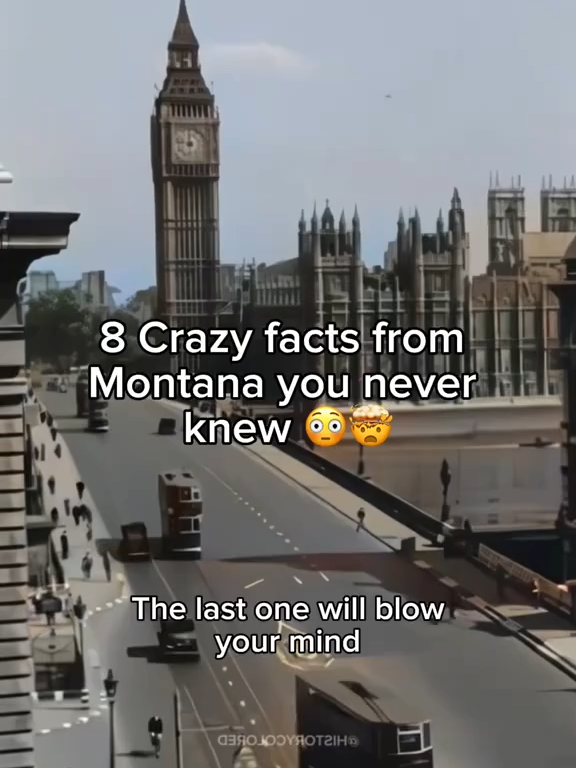 8 Crazy facts from Montana you never knew 😳🤯 #History #HistoryTime #crazyfacts #historyfacts #factsyoudidntknow #historicalfacts #montana #montanalife #reels #reelsyoutube #reelsinstagram #reelsvideo #shorts #shortsfeed #shortsvideo #shortsviralvideo #youtubeContent #youtubeshorts