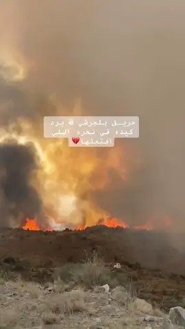 #بلجرشي#حريق#explore #غامد_زهران #بلجرشي_الباحه_اكسبلور🕊 #بلجرشي_الان #الباحه#غامد#غمد#بلجرشي 