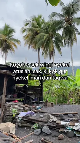 #mauskberanda #fypage 